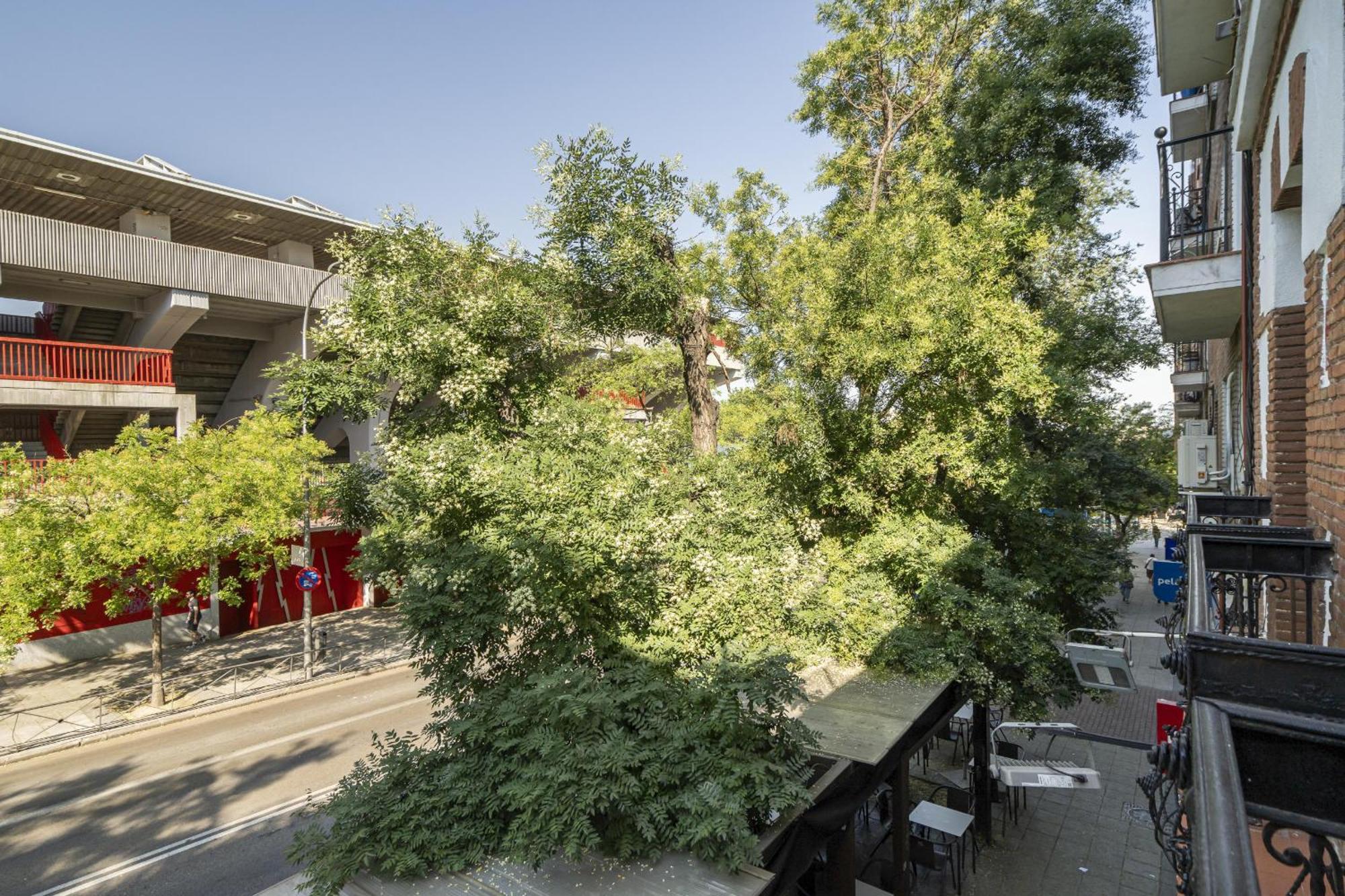Apartamentos En La Avda De La Albufera Alquiler Temporal Madrid Dış mekan fotoğraf